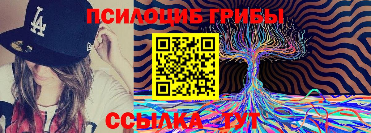 Галлюциногенные грибы Psilocybine cubensis Сочи